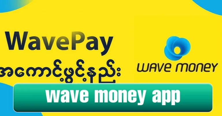 Wave Money App